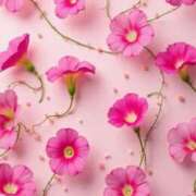 ヒメ日記 2025/09/03 12:04 投稿 あかね AVANCE福岡