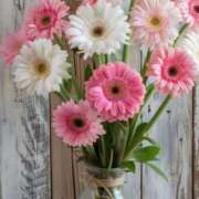 あかね お知らせ💌 AVANCE福岡