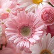 あかね 5月14日お礼 AVANCE福岡