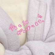 ヒメ日記 2025/02/06 10:50 投稿 あずさ ピンクハウス（横浜）