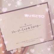 ヒメ日記 2024/07/01 18:08 投稿 ほたる 池袋マリンブルー別館