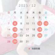 ほたる ♡12月の予定(仮) 池袋マリン別館