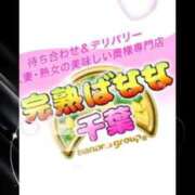 ヒメ日記 2025/01/17 12:21 投稿 さわ 完熟ばなな千葉店