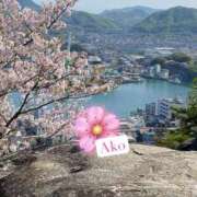 ヒメ日記 2025/03/20 00:38 投稿 あこ（あこ）清楚さを極めた美女 aroma ace.