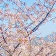 ヒメ日記 2025/04/10 22:48 投稿 あこ（あこ）清楚さを極めた美女 aroma ace.