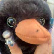 ヒメ日記 2024/12/26 18:58 投稿 みみ 静岡♂風俗の神様 静岡店