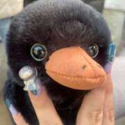 ヒメ日記 2025/01/29 16:08 投稿 みみ 静岡♂風俗の神様 静岡店