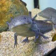 ヒメ日記 2025/03/04 20:28 投稿 みみ 静岡♂風俗の神様 静岡店