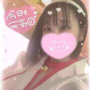 ヒメ日記 2025/02/13 10:16 投稿 りいさ サンキュー沼津店（サンキューグループ）