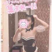 ヒメ日記 2025/11/15 09:41 投稿 りいさ サンキュー沼津店（サンキューグループ）