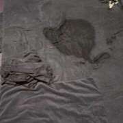 ヒメ日記 2024/12/27 18:25 投稿 みなみ 中洲秘密倶楽部