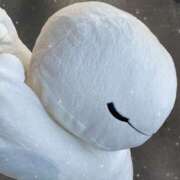 ヒメ日記 2025/02/28 20:02 投稿 あい・SP 西川口ティアラ