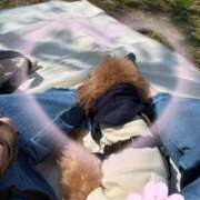 ヒメ日記 2025/04/01 00:20 投稿 せら 福盛