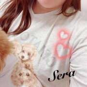 ヒメ日記 2025/04/22 20:50 投稿 せら 福盛