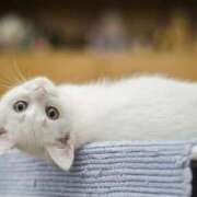 ヒメ日記 2025/01/25 14:23 投稿 椎名みい パレット(熊本)