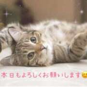 ヒメ日記 2025/02/08 16:03 投稿 椎名みい パレット(熊本)