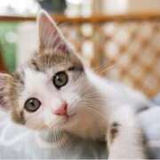 ヒメ日記 2025/04/26 16:03 投稿 椎名みい パレット(熊本)