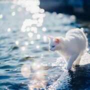 ヒメ日記 2025/08/06 18:33 投稿 椎名みい パレット(熊本)