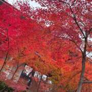 ヒメ日記 2024/12/13 15:24 投稿 うきは 熟女家 梅田店