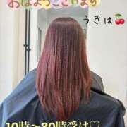 ヒメ日記 2025/04/10 08:33 投稿 うきは 熟女家 梅田店