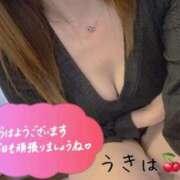 ヒメ日記 2025/06/03 08:17 投稿 うきは 熟女家 梅田店