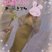 ヒメ日記 2025/06/09 09:37 投稿 うきは 熟女家 梅田店