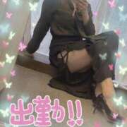 ヒメ日記 2025/06/16 09:37 投稿 うきは 熟女家 梅田店