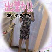 ヒメ日記 2025/08/07 11:50 投稿 うきは 熟女家 梅田店