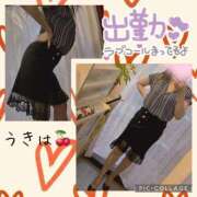 ヒメ日記 2025/08/11 09:48 投稿 うきは 熟女家 梅田店