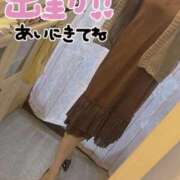 ヒメ日記 2025/11/19 11:47 投稿 うきは 熟女家 梅田店