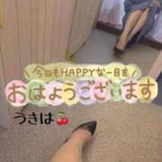 ヒメ日記 2025/11/20 09:57 投稿 うきは 熟女家 梅田店