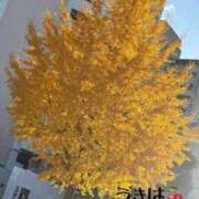 ヒメ日記 2025/12/04 09:37 投稿 うきは 熟女家 梅田店