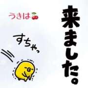 ヒメ日記 2026/01/16 16:57 投稿 うきは 熟女家 梅田店