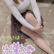 ヒメ日記 2026/01/29 11:40 投稿 うきは 熟女家 梅田店