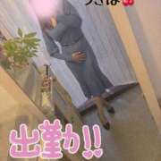 ヒメ日記 2026/02/20 11:37 投稿 うきは 熟女家 梅田店