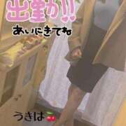 ヒメ日記 2026/03/02 11:47 投稿 うきは 熟女家 梅田店