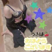 ヒメ日記 2026/03/28 09:47 投稿 うきは 熟女家 梅田店