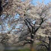 ヒメ日記 2026/04/04 09:34 投稿 さおり ふわふわコレクション