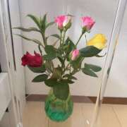 ヒメ日記 2025/11/01 08:52 投稿 ラム ナイスレディ