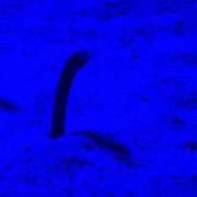 ヒメ日記 2025/05/13 22:33 投稿 みゆ ラグーン豊橋