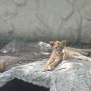 ヒメ日記 2025/09/15 23:03 投稿 みゆ ラグーン豊橋