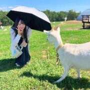 ヒメ日記 2025/09/07 21:12 投稿 水愛 セグレターリオ