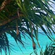 ヒメ日記 2025/11/18 15:03 投稿 水愛 セグレターリオ