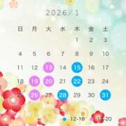 ヒメ日記 2025/12/19 19:00 投稿 水愛 セグレターリオ