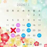 ヒメ日記 2025/12/20 22:31 投稿 水愛 セグレターリオ