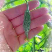 ヒメ日記 2025/07/02 08:42 投稿 つきの 不倫体験 名古屋店