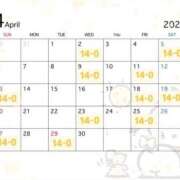 ヒメ日記 2025/03/21 12:27 投稿 すず エデンR