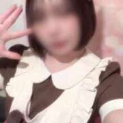 ヒメ日記 2025/04/14 13:10 投稿 すず エデンR