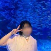 ヒメ日記 2025/05/22 20:47 投稿 すず エデンR