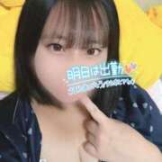 ヒメ日記 2025/11/12 00:01 投稿 くるみ サンキュー町田・相模原店